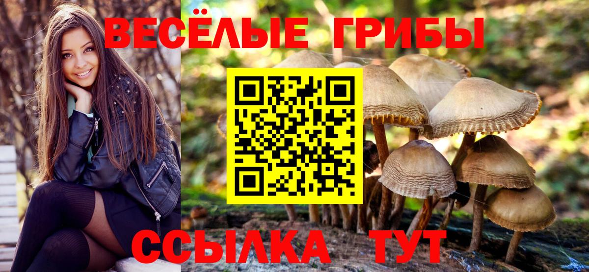 Галлюциногенные грибы Magic Shrooms  Вход с VPN  Шадринск 